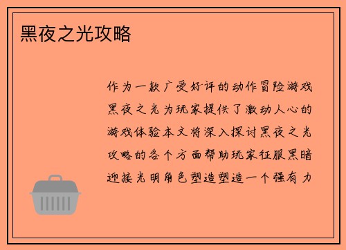 黑夜之光攻略